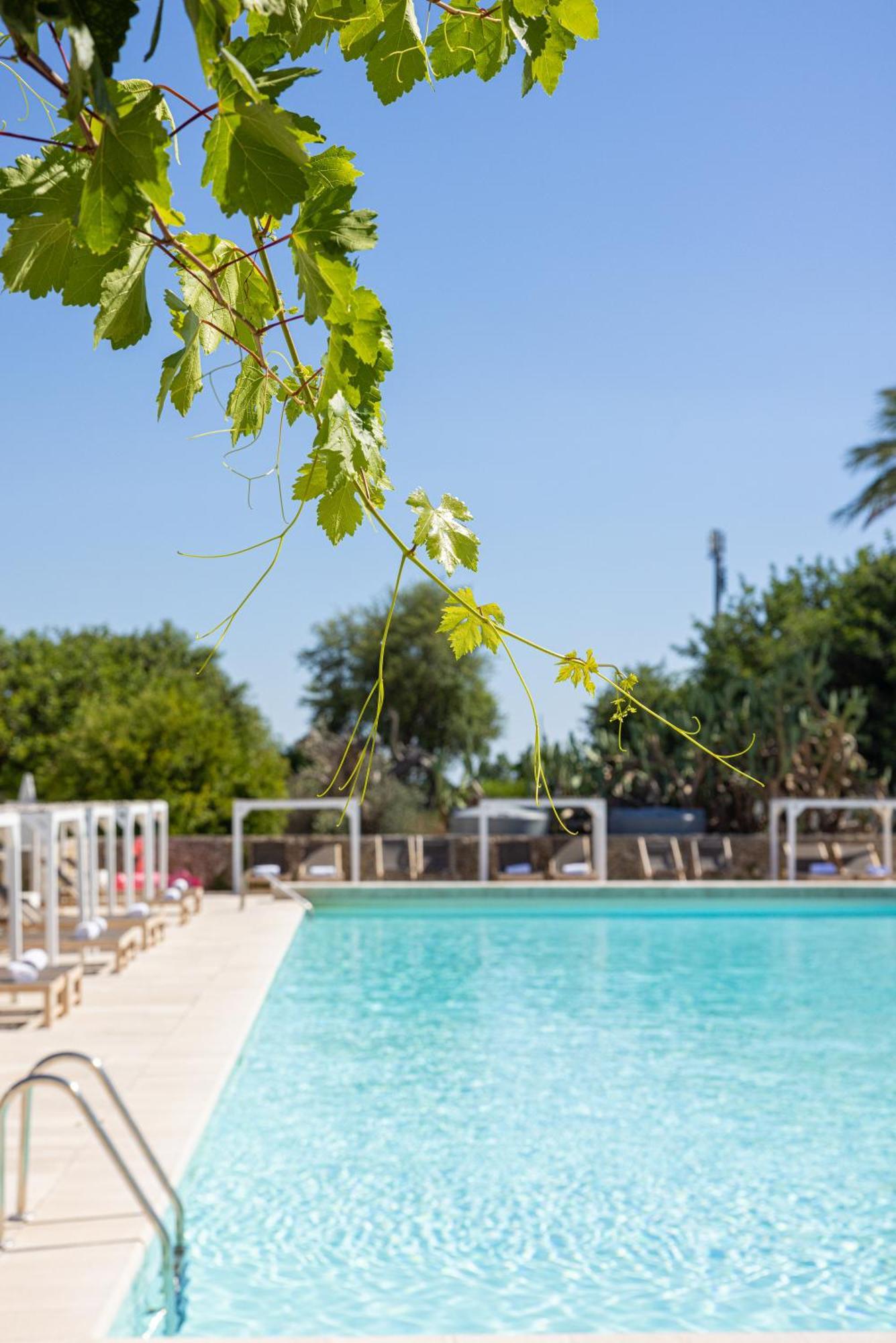 Masseria Malvindi เมซานเย ภายนอก รูปภาพ